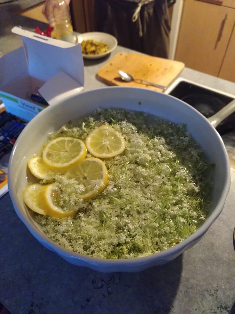 Holunderblütensirup Holunderblütensirup